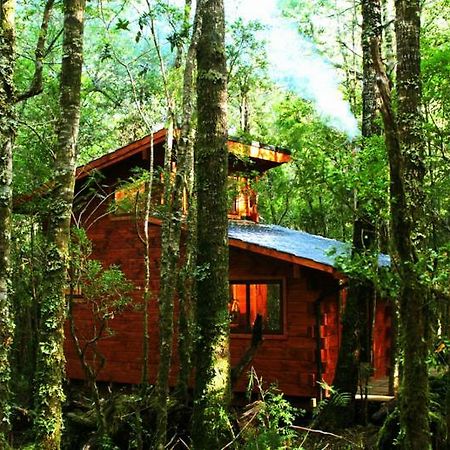 Cabanas Bosque Milenario Conaripe Exterior photo