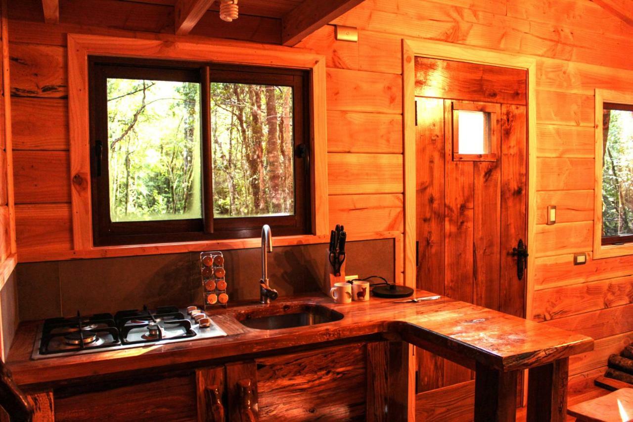Cabanas Bosque Milenario Conaripe Exterior photo